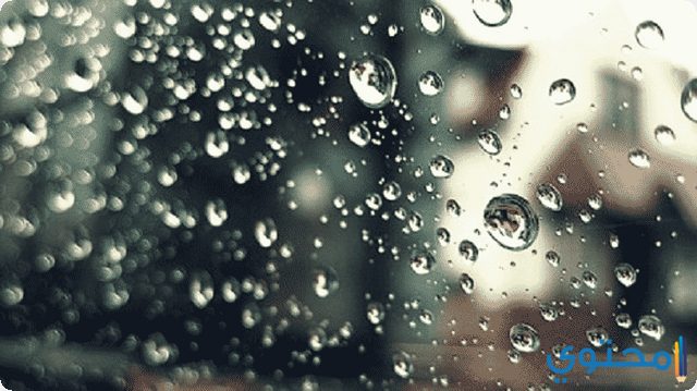 مانغا الألومنيوم سيفيك سماع صوت المطر في المنام Porkafellas Com