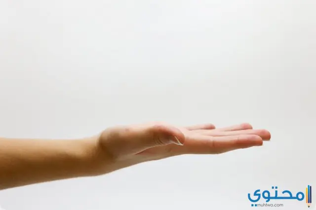 قطع اليد اليسرى في المنام
