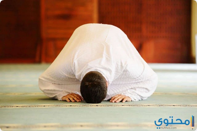 تفسير صلاة العشاء في المنام عند ابن سيرين 1 Image 7 73