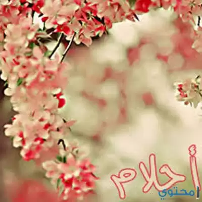 معني اسم احلام