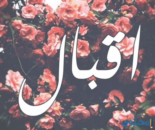معنى اسم اقبال