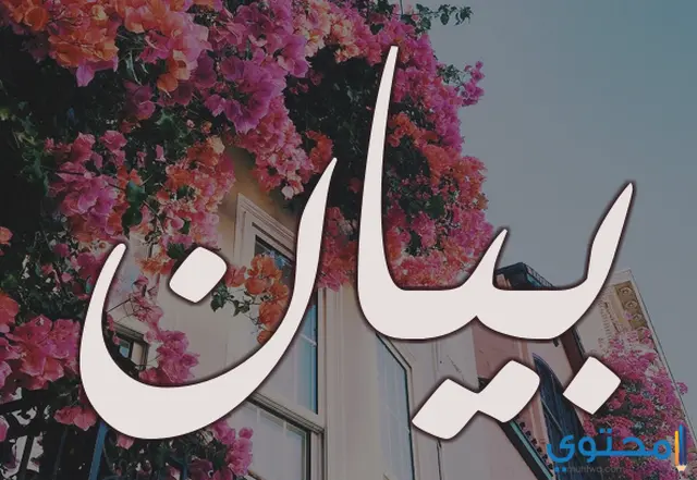 Image بيان1
