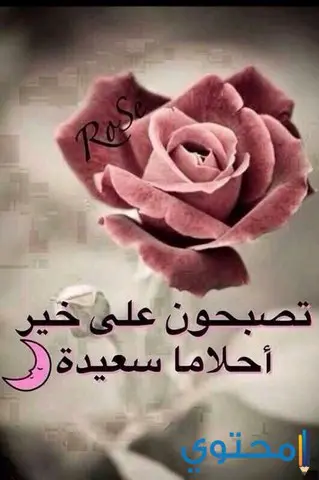 صور تصبح على خير