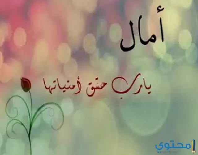 معنى اسم آمال