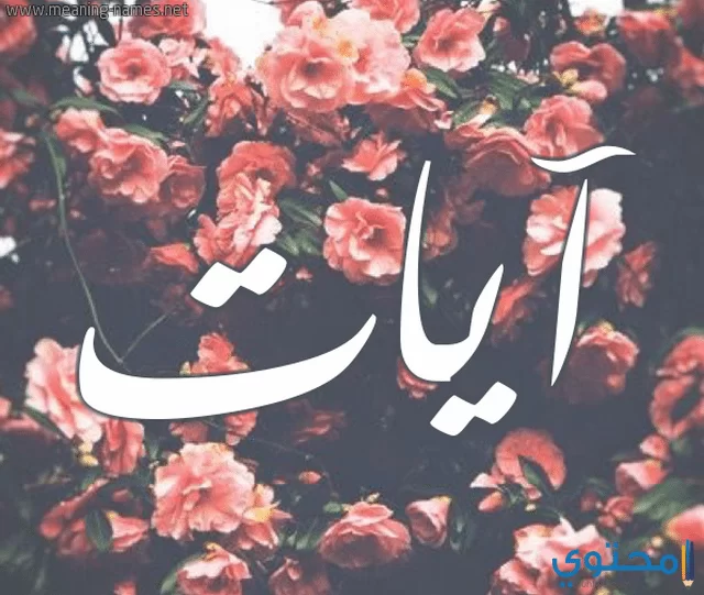 Image معنى اسم آيات1