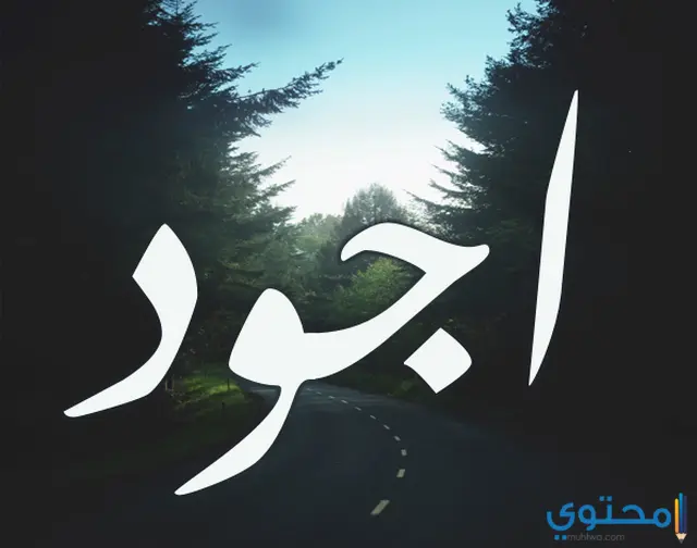  اسم اجود