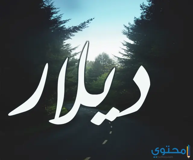 اسم ديلار