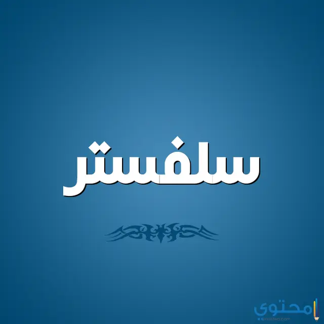 Image معنى اسم سلفستر1