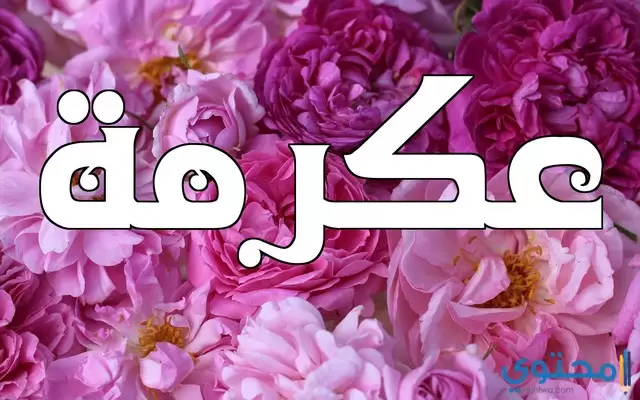  اسم عكرمة