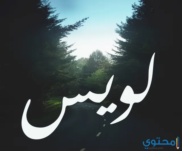  اسم لويس