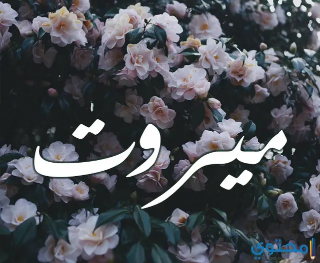 اسم ميروت