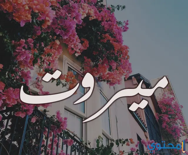 اسم ميروت