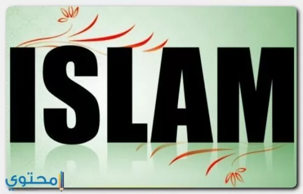 صفات حامل اسم اسلام