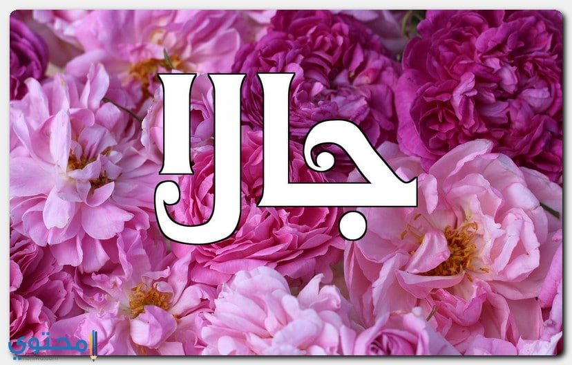 الاصل في تسمية جالا