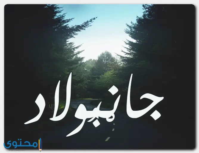 اسم جانبولاد