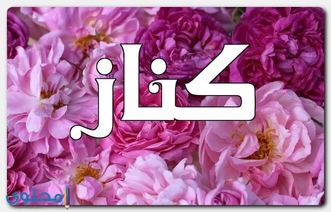 معنى اسم كنان