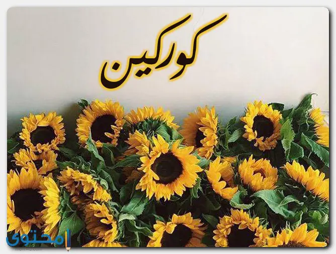 اسم كوركين