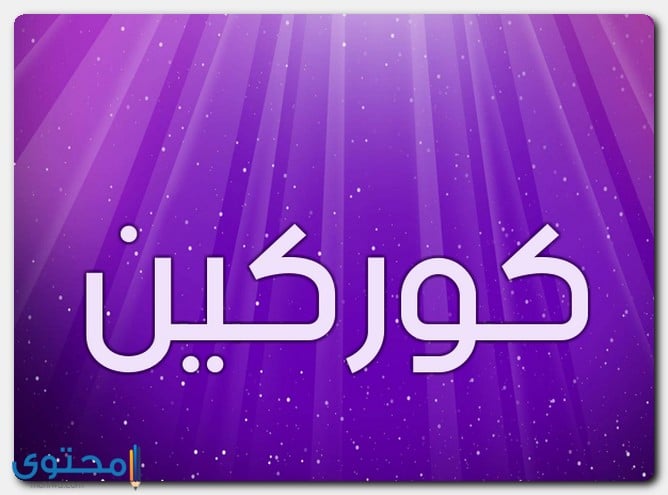 معنى اسم كوركين (Korkin) في القاموس وصفات حامل الاسم 1 معنى اسم كوركين