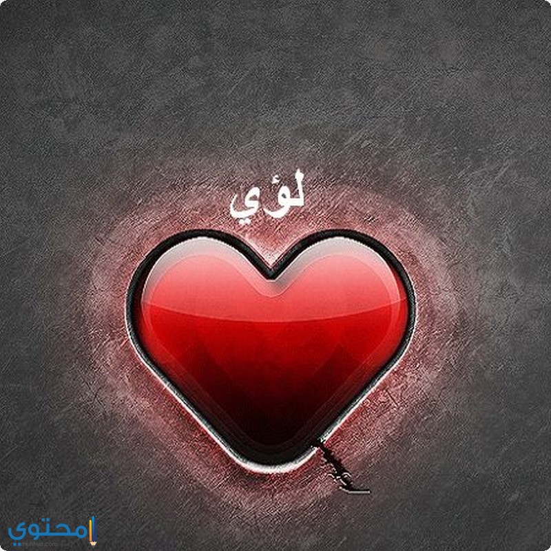 معنى اسم لؤي (Loay) في المعجم وحكم تسميته في الإسلام 1 معنى اسم لؤي