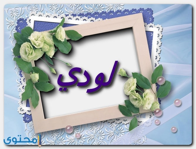 صفات حامل اسم لودي