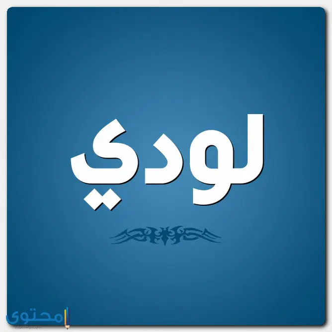 معنى اسم لودي وصفات حامل الاسم (Lodi)