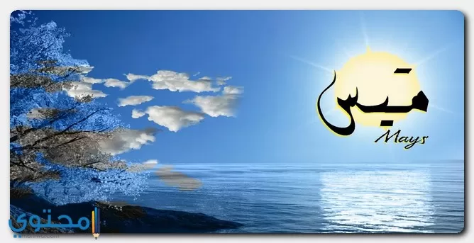 معنى اسم ميس