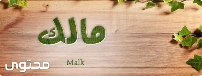 Malek2