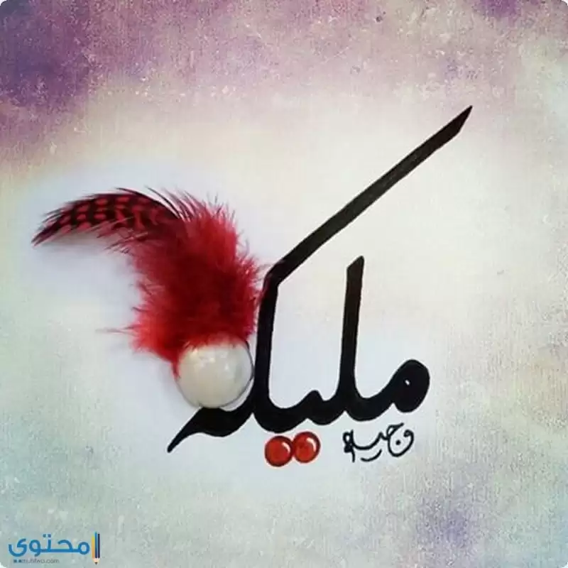 معنى اسم مليكة (Malika) بالتفصيل