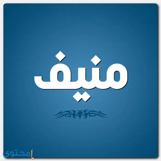 معنى اسم منيف (Munif) وصفاته في قواميس اللغة العربية