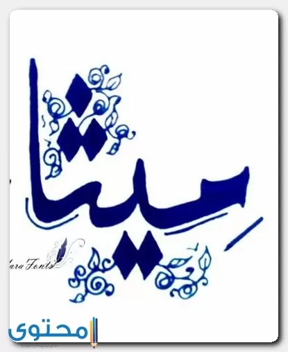 اسم ميثاء