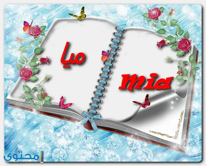 صفات حاملة اسم ميا