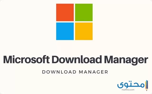 Microsoft Download Manager 2