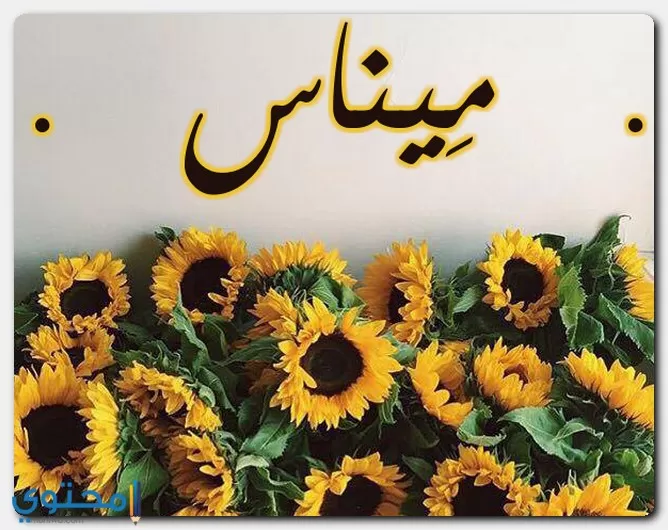 كتابة اسم ميناس بالانجليزية