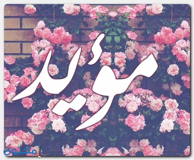 اسم مؤيد