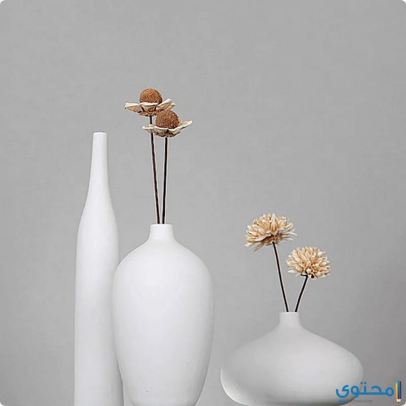 Modern Vases12