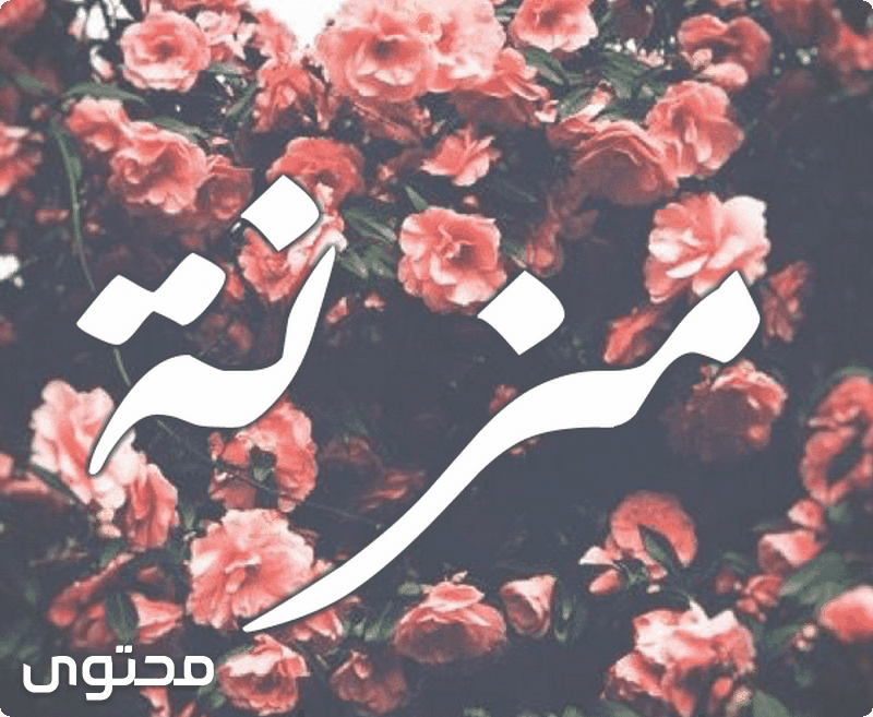 الابراج بالانجليزي معنى اسم مُزنة وصقاتها الشخصيه Mozna - موقع محتوى