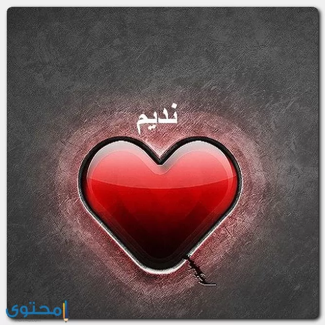 Nadim3 1