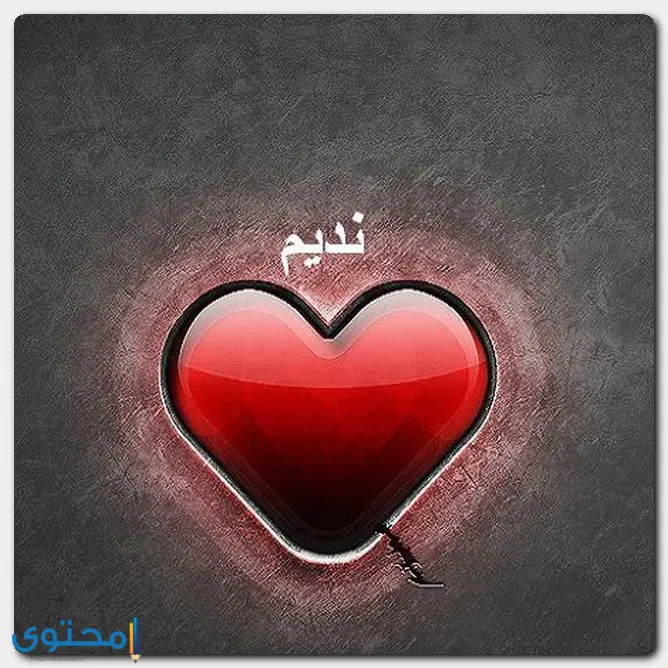 اسم نديم