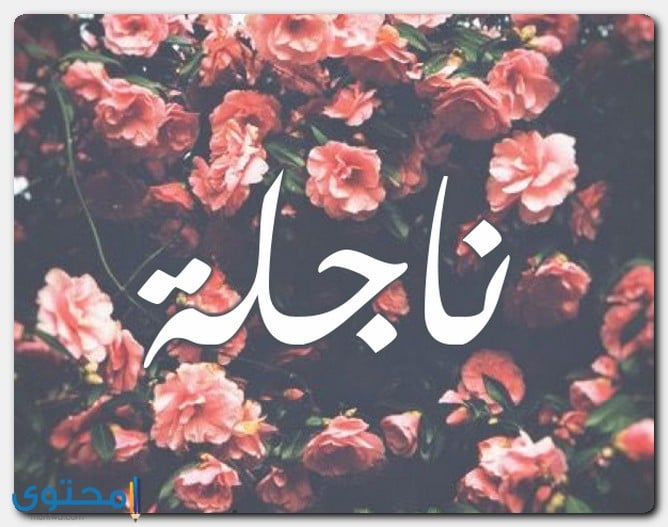 معنى نائلة معنى اسم ناجلة وصفات حاملة الاسم Nagela - موقع محتوى