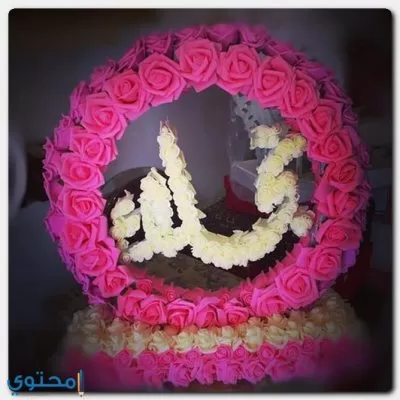 معنى اسم نجلاء