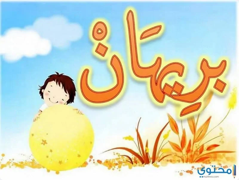 معني اسم بريهان