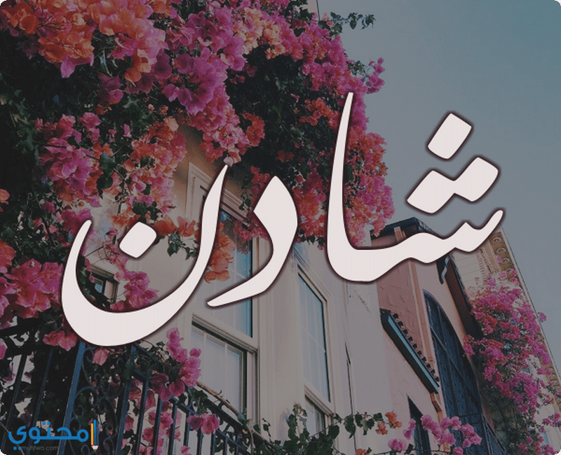 اسم شادن