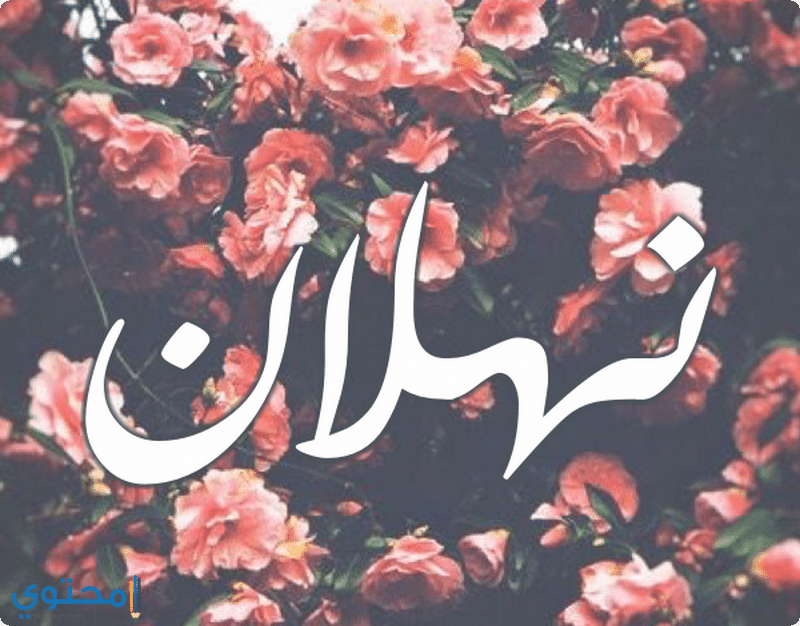 اسم نهلان