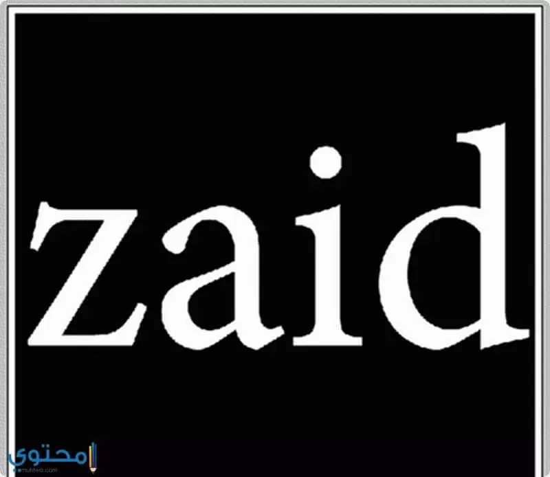 معنى اسم زيد