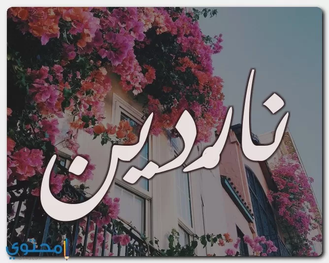 اسم ناردين
