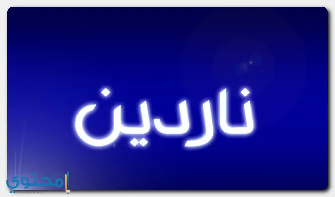 اسم ناردين