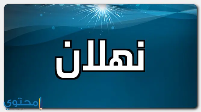 تعريف و شرح ومعنى اسم نهلان بالعربي في معاجم اللغة العربية