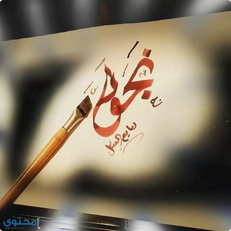 معنى اسم نجود