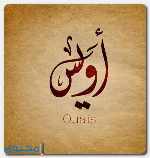 معنى اسم أويس وصفات الاسم Oais موقع محتوى