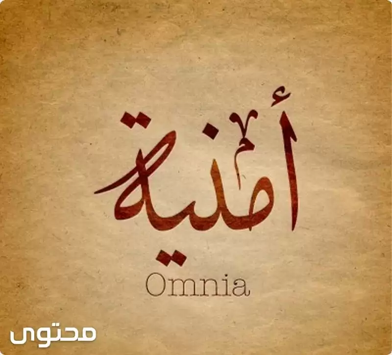 Omnia3